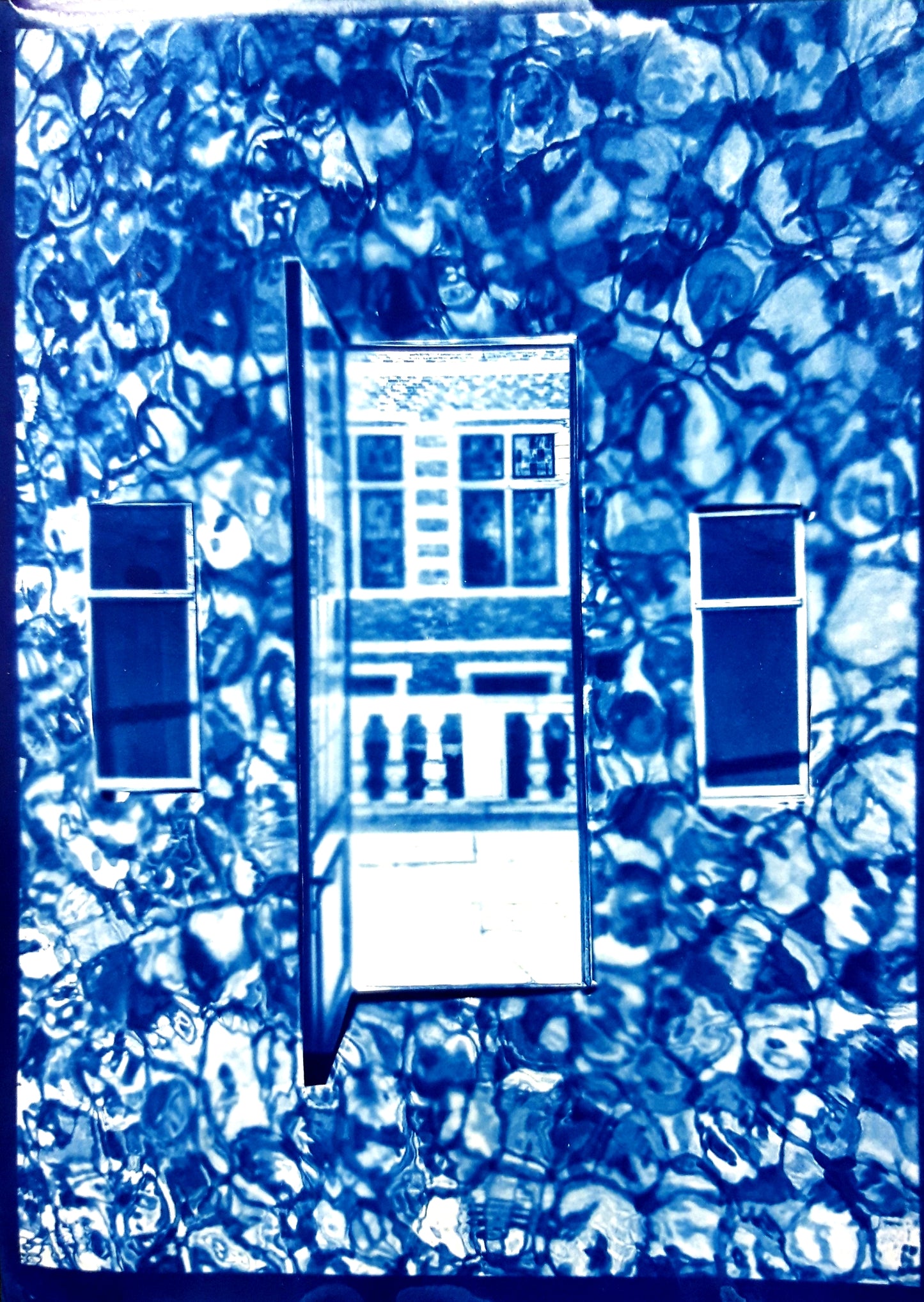 Cyanotypie (Blaudruck) after work - Dein kreativer Feierabend im Grünen