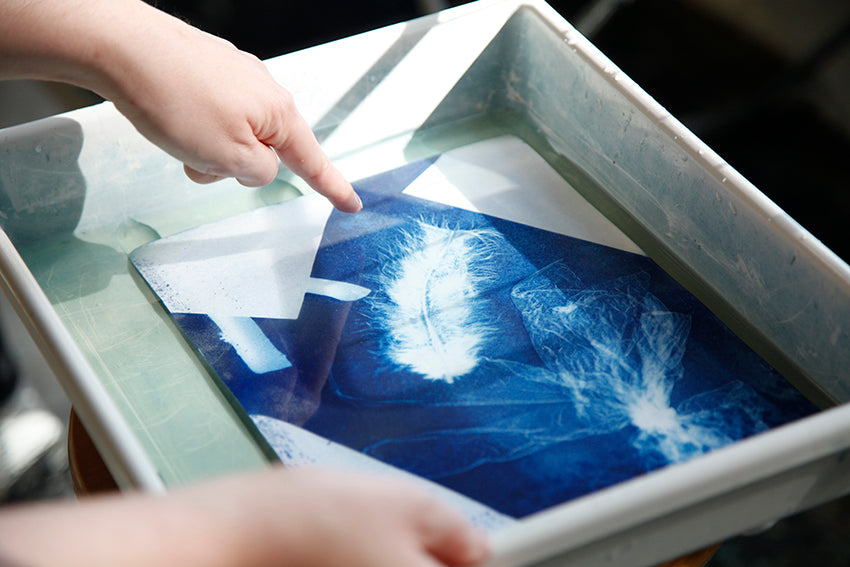Cyanotypie (Blaudruck) Fotokurs - ein Workshop für Einsteiger*innen im Garten