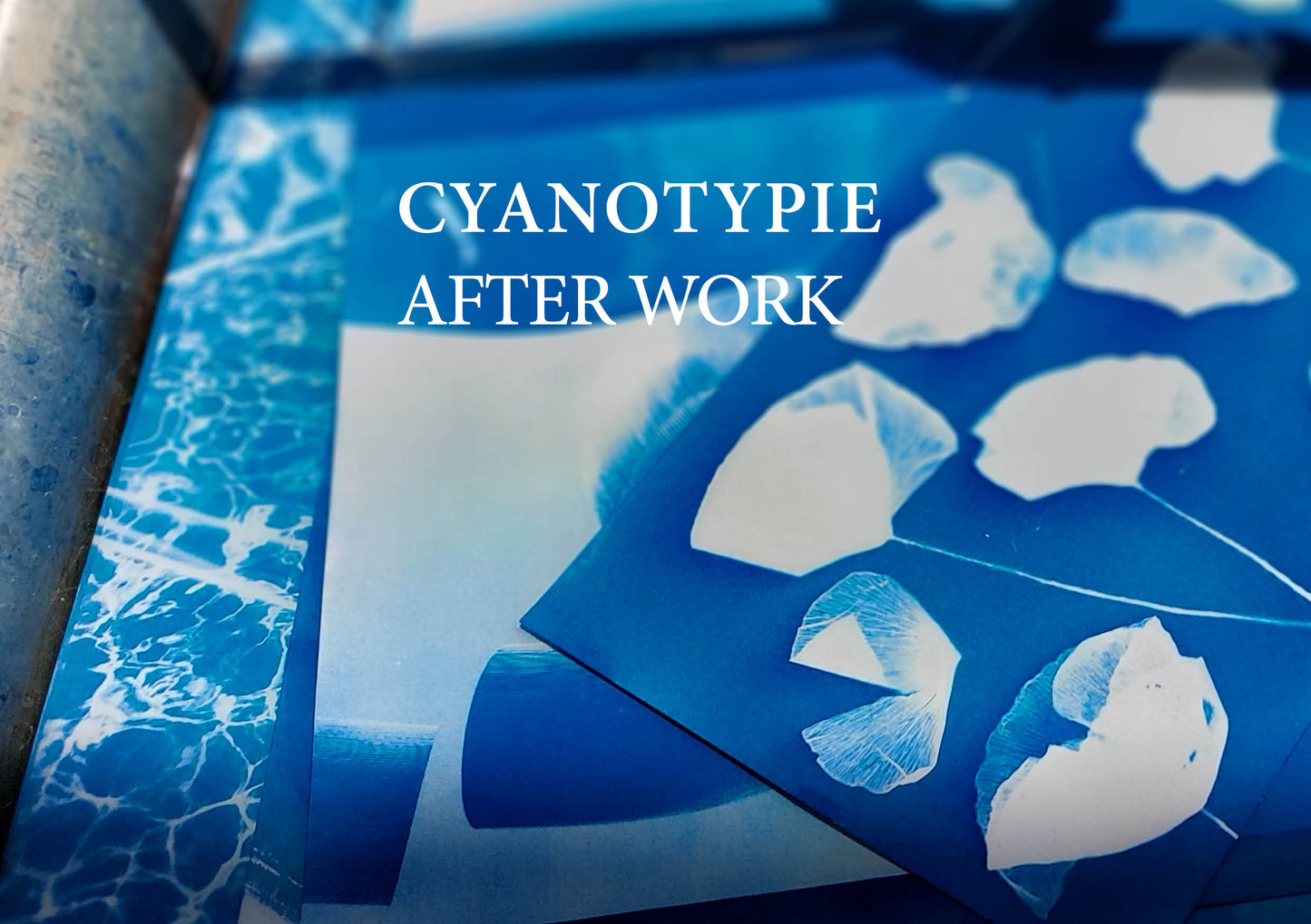 Cyanotypie (Blaudruck) after work - Dein kreativer Feierabend im Grünen