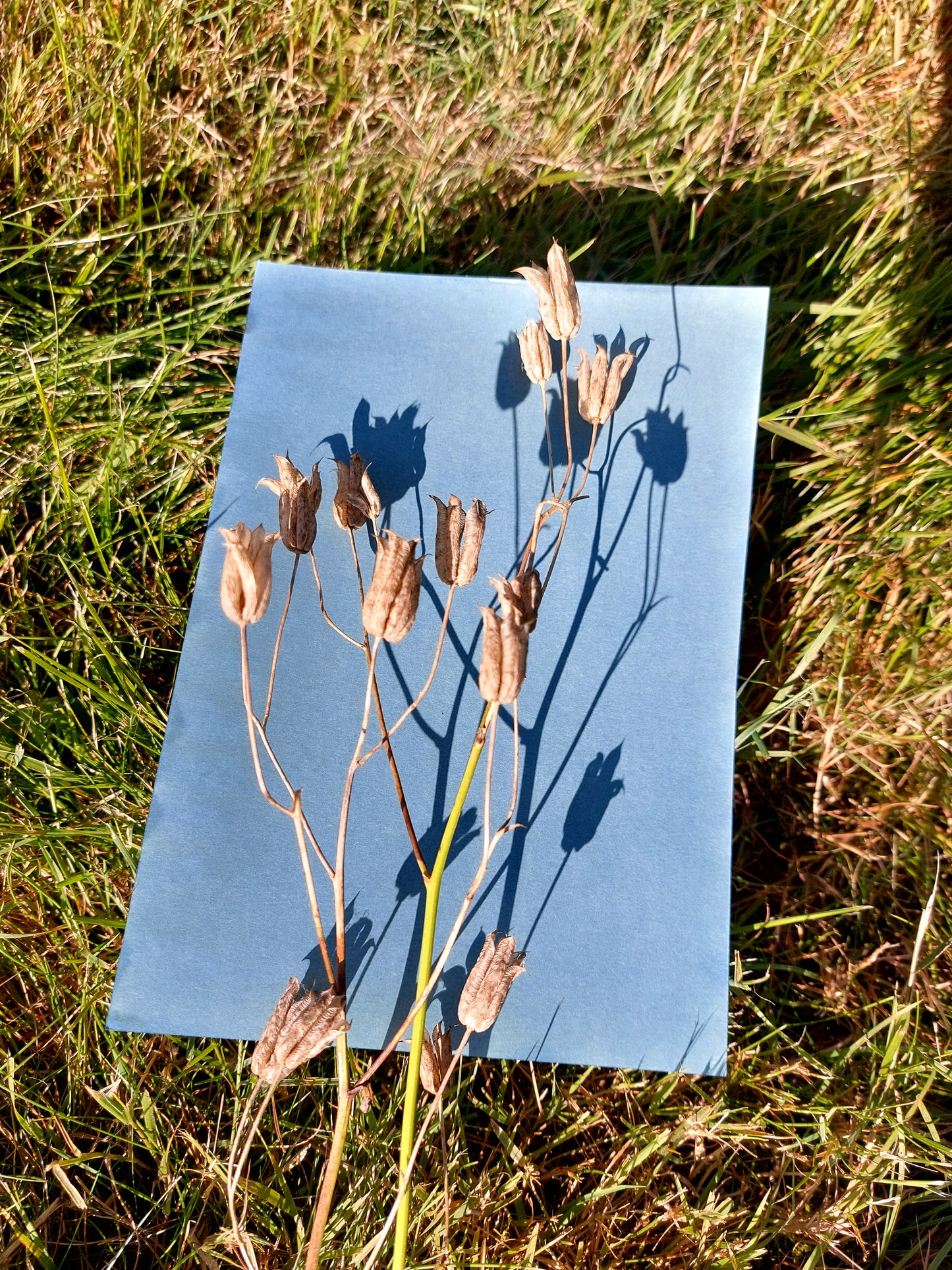 Blaues Abenteuer: Blaudruck für Kinder ab 8 Jahren