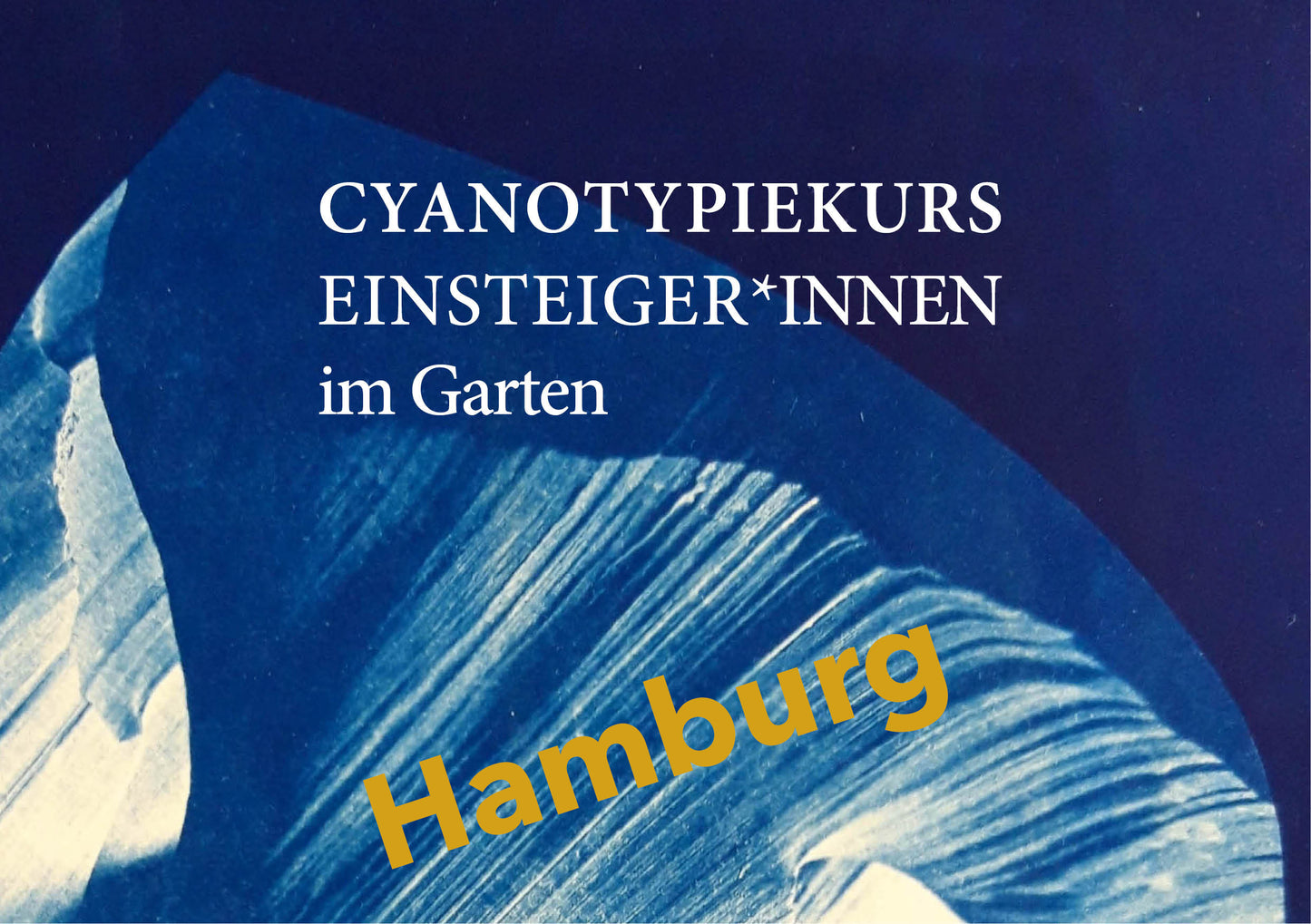 Cyanotypie (Blaudruck) Fotokurs - ein Workshop für Einsteiger*innen in Hamburg
