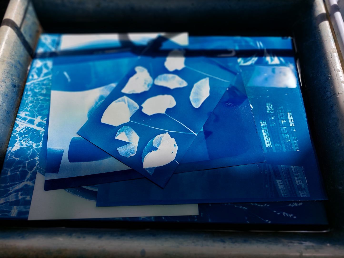 Cyanotype workshop for beginners in Berlin