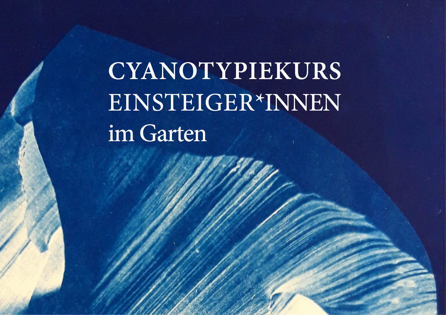 Cyanotypie (Blaudruck) Fotokurs - ein Workshop für Einsteiger*innen in Hamburg