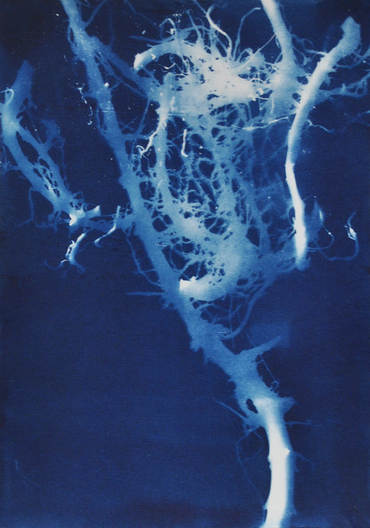 Morning Matters No. 10