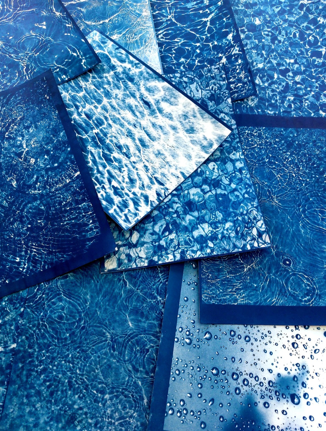 Cyanotypie (Blaudruck) Fotokurs - ein Workshop für Einsteiger*innen im Garten