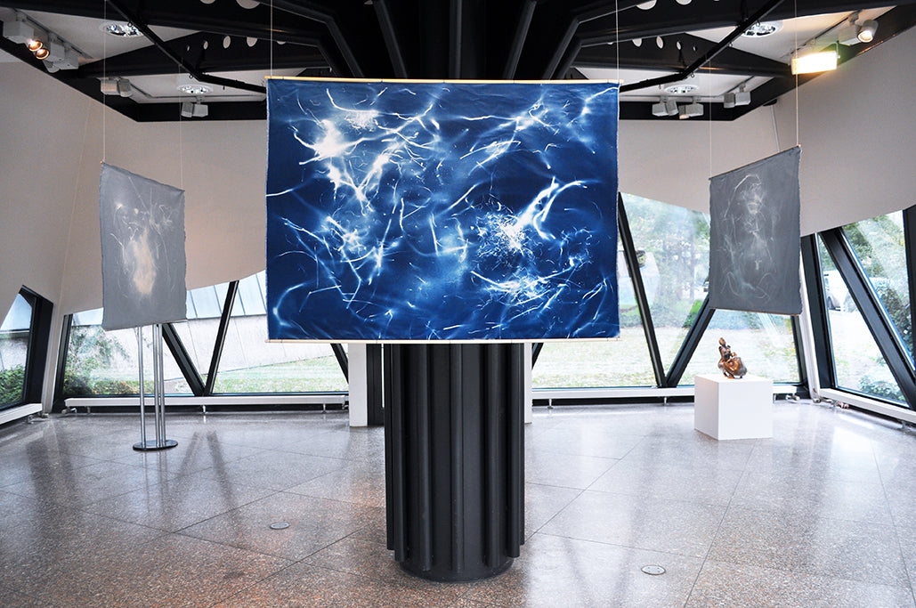 Morning Matters - North