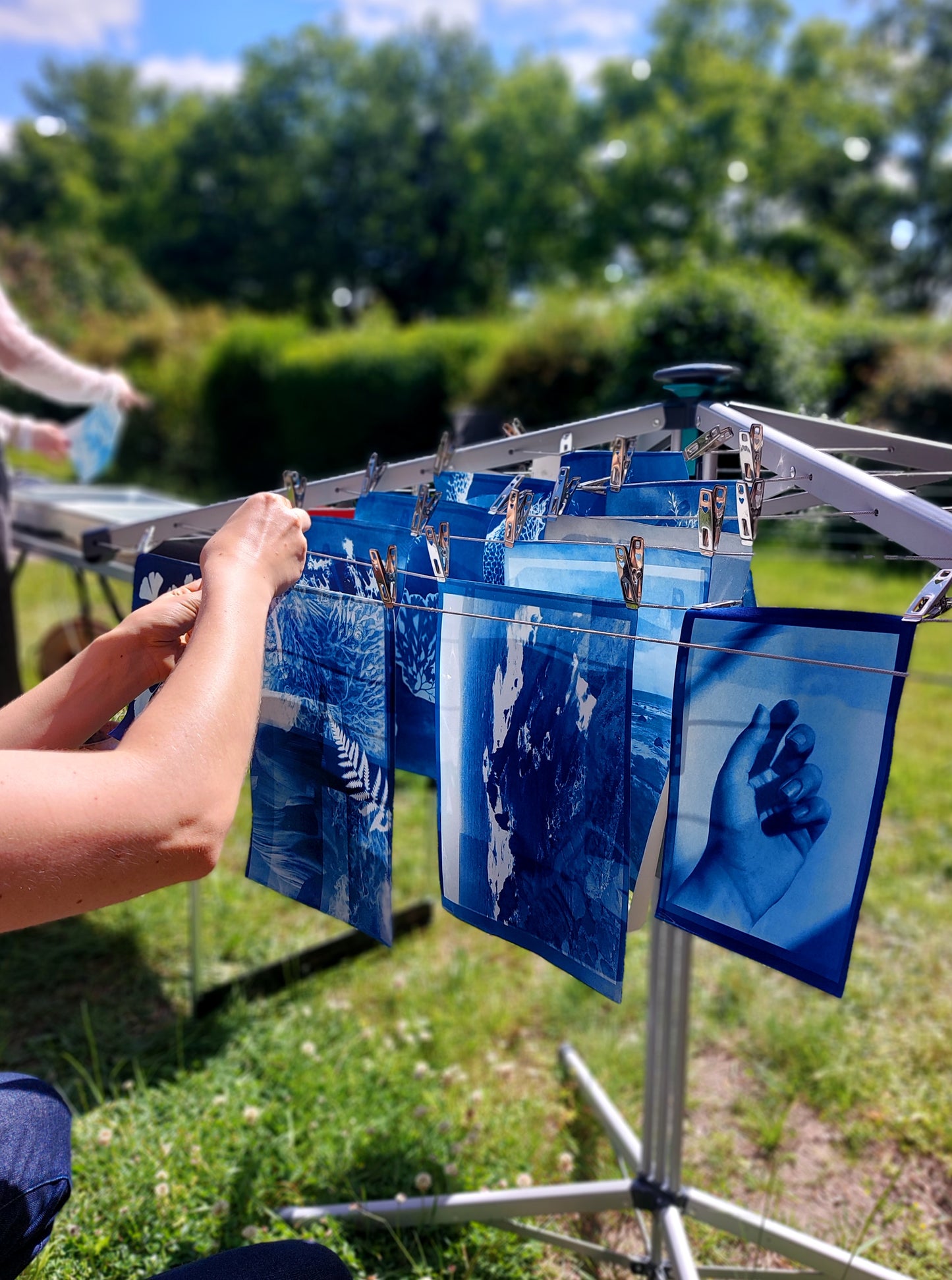 Cyanotypie (Blaudruck) Fotokurs - ein Workshop für Einsteiger*innen im Garten