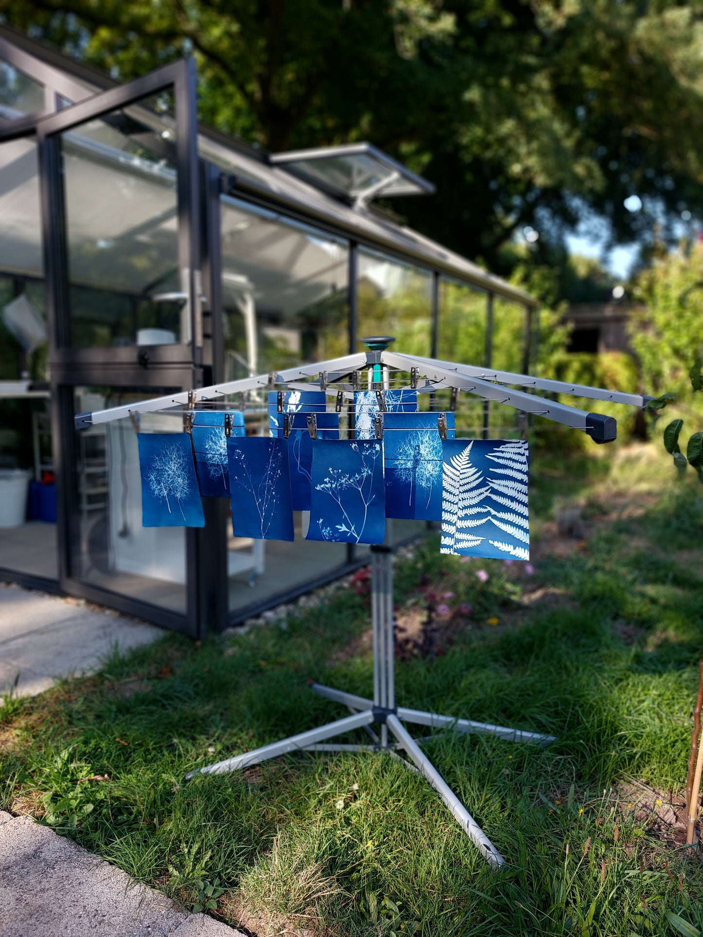 Cyanotype Workshop for Beginners in a Garden Setting