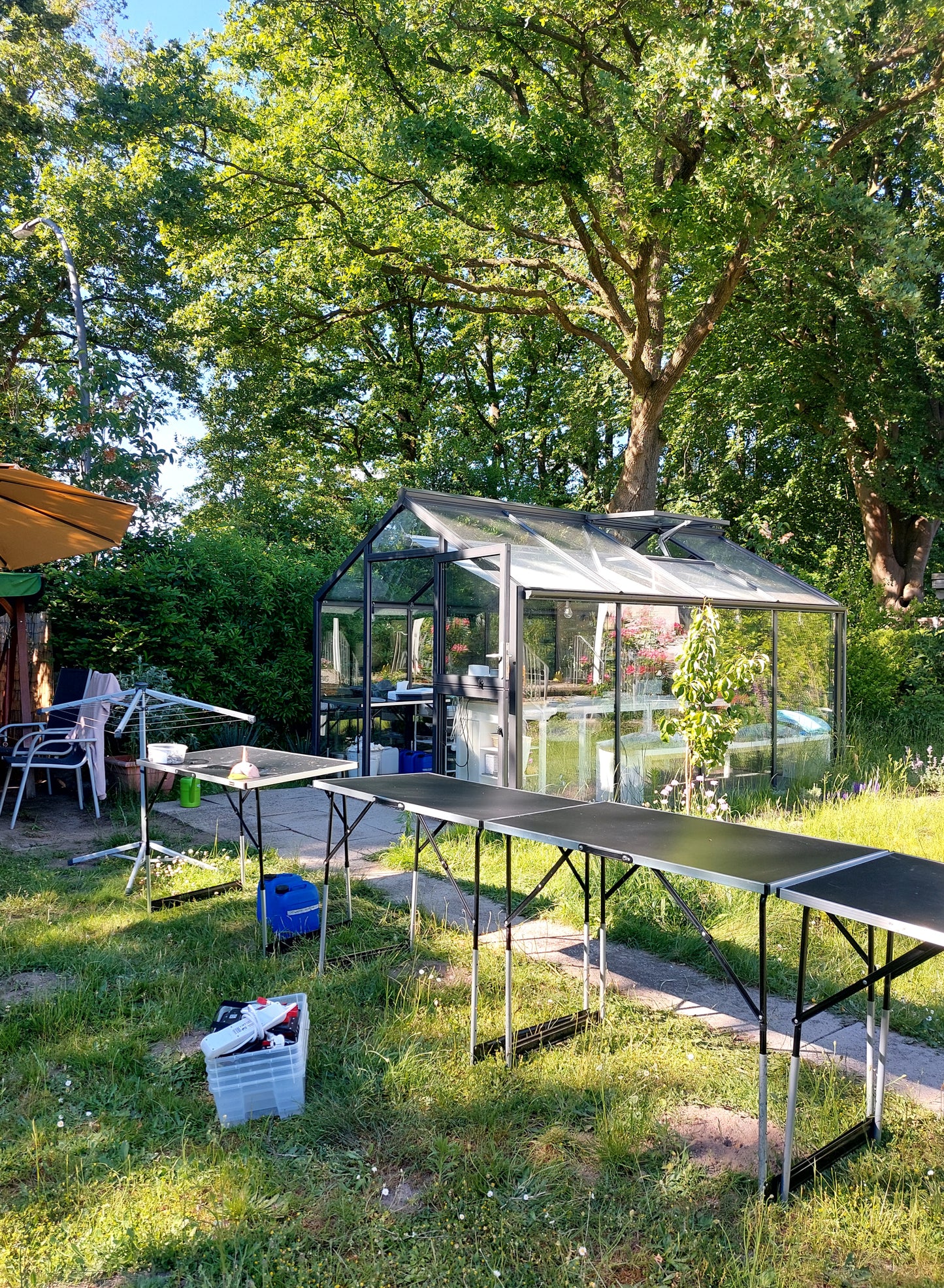 Cyanotypie (Blaudruck) Fotokurs - ein Workshop für Einsteiger*innen im Garten