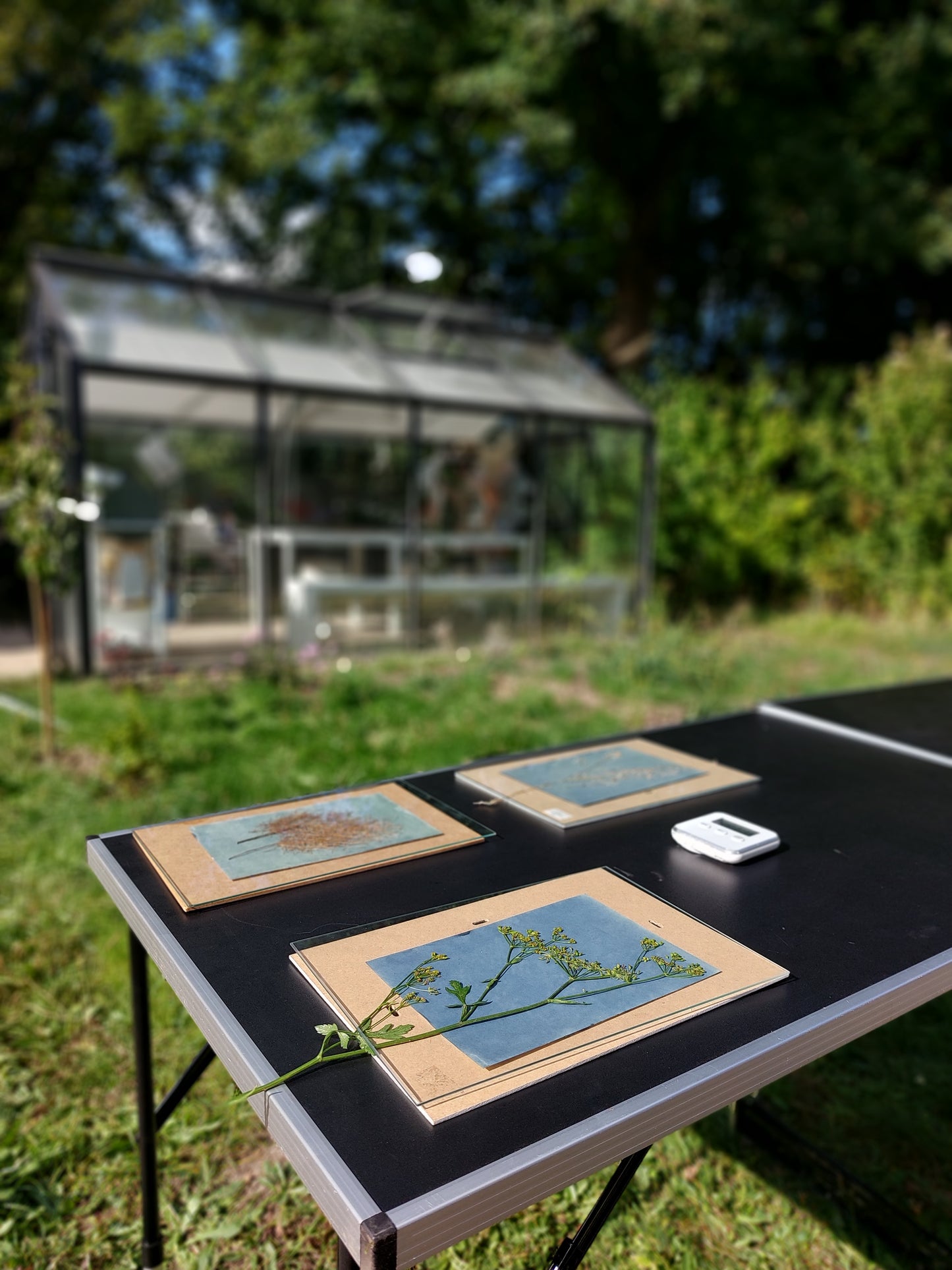 Cyanotype Workshop for Beginners in a Garden Setting