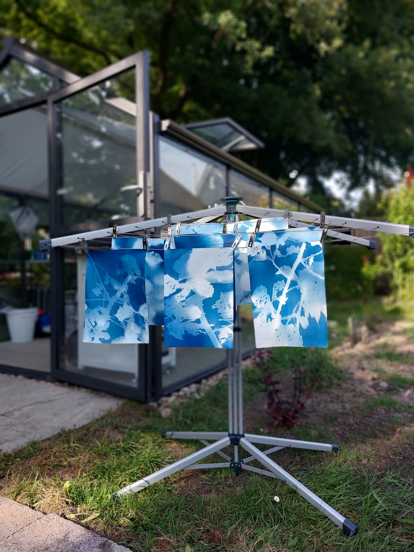 Cyanotypie (Blaudruck) after work - Dein kreativer Feierabend im Grünen