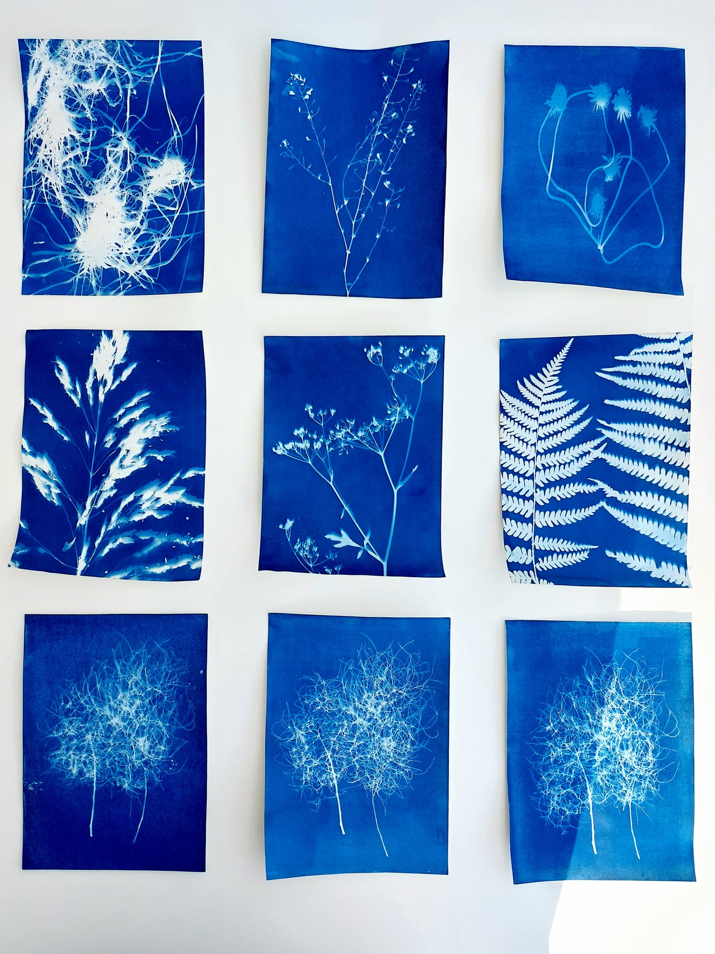 Cyanotype workshop for beginners in Berlin